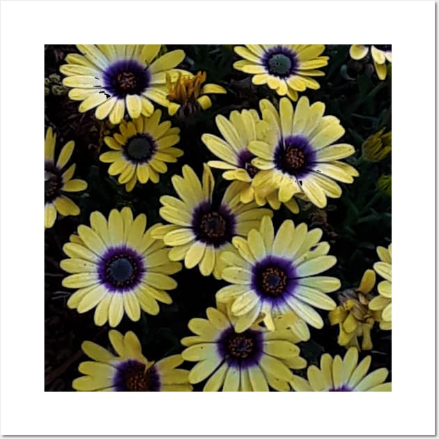 Yellow Flower Bed Photography My Wall Art by ShubShank